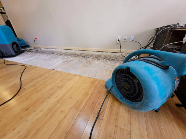 Professional Flood Damage Cleanup technician working in Sidney, NE